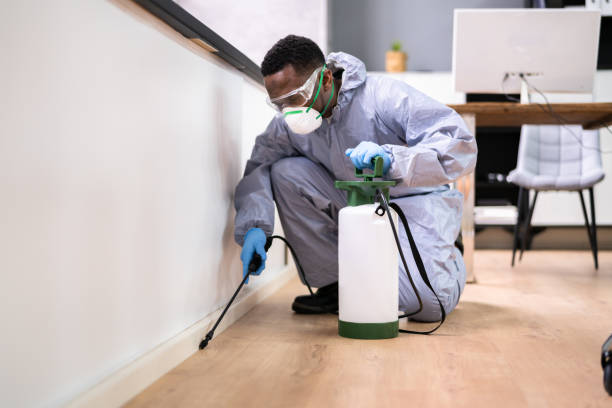 Best Pest Control for Multi-Family Homes  in Rochester, MN